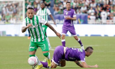 Hincha Verde