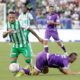 Hincha Verde